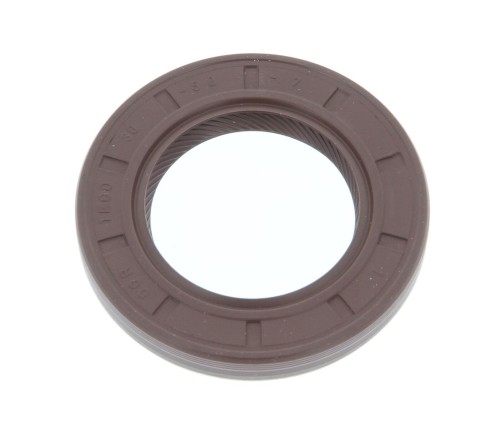 Shaft Seal 1