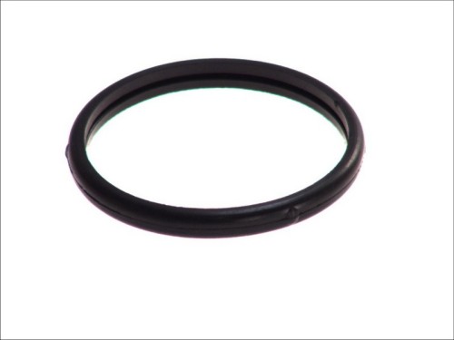 Thermostat Gasket