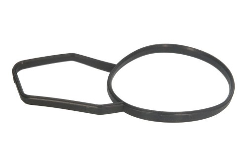 Thermostat Gasket