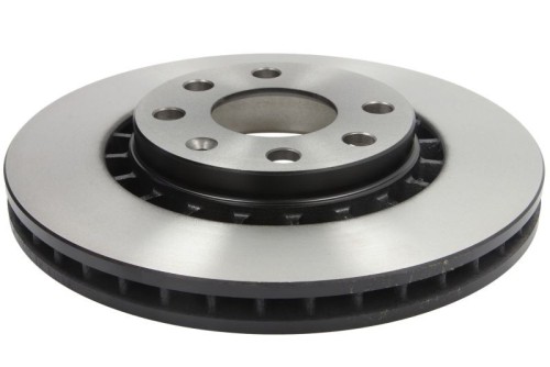 256x24mm, 6x100, Vented, Painted, with bolts/screws