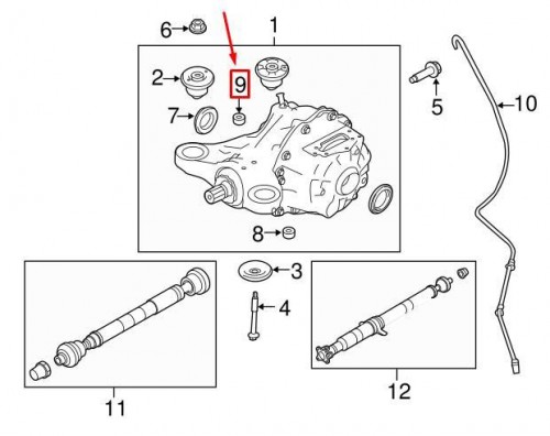 Differential Drain Plug 2