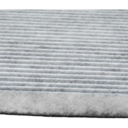 Odour and allergen filter 2