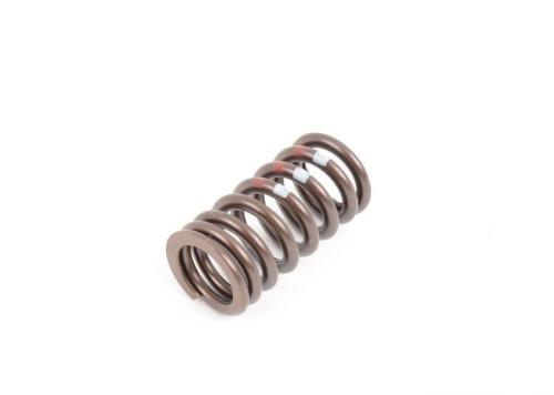 Valve Spring