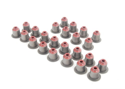 REPAIR KIT VALVE SEAL RING 5