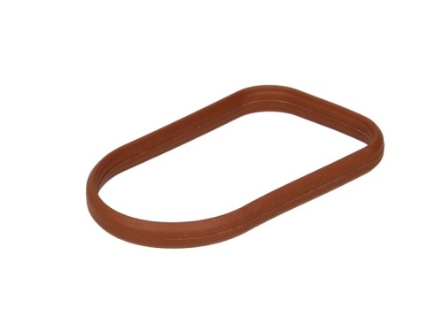 Gasket, Intake Manifold
