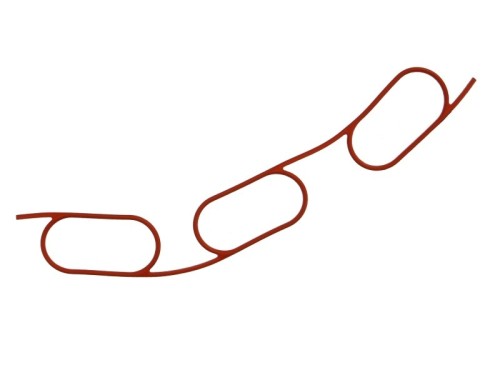 Gasket, Intake Manifold