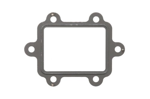 Gasket, Egr Valve