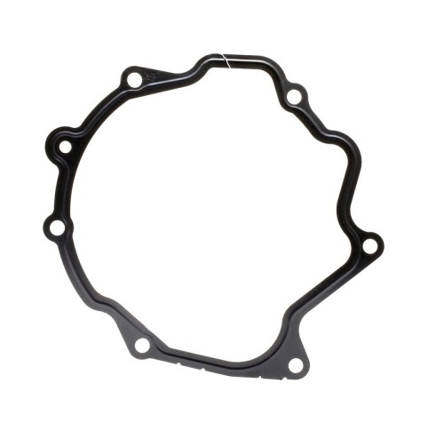 Gasket, Vacuum Pump 4