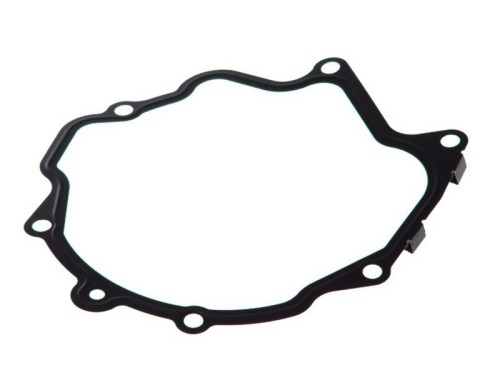 Gasket, Vacuum Pump 1