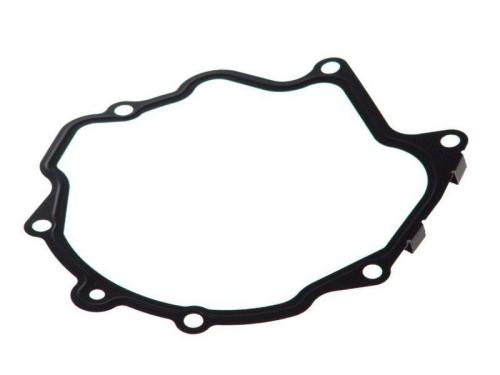 Gasket, Vacuum Pump 10