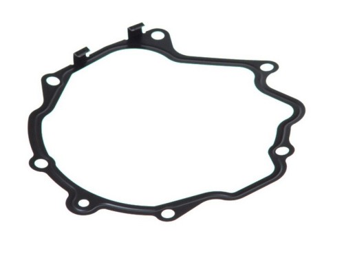 Gasket, Vacuum Pump 2