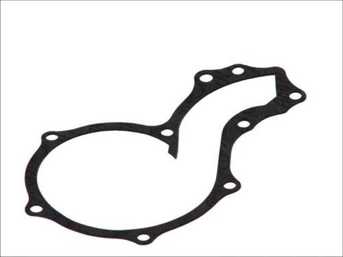 Water Pump Gasket 5