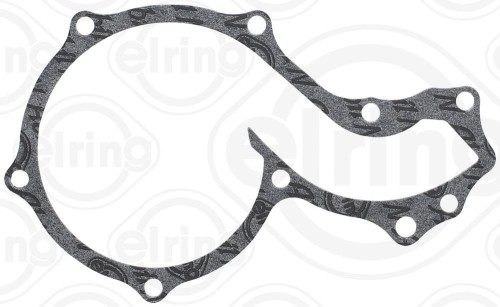 Water Pump Gasket 3
