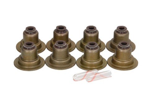 Seal Set, Valve Stem