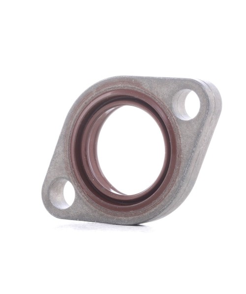 Seal, Timing Chain Tensioner 4