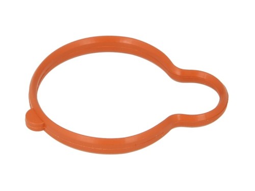 Gasket, Intake Manifold