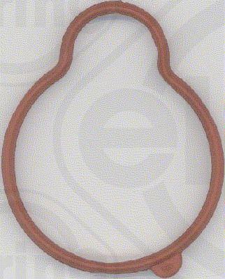 Gasket, Intake Manifold 6