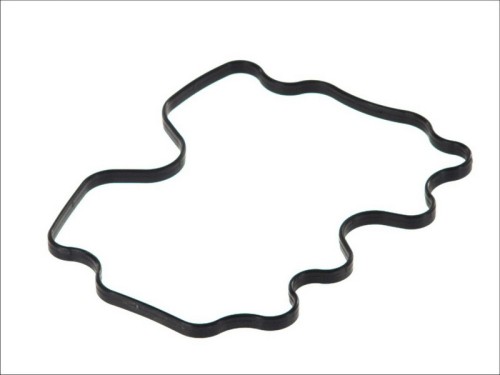 Gasket, Cylinder Head Cover