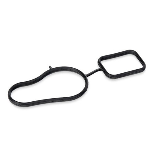 Water Pump Gasket 5