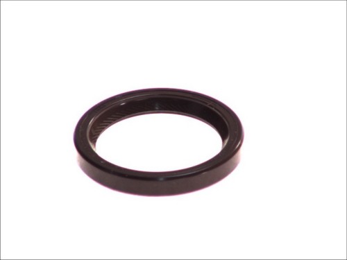 Seal Ring 1