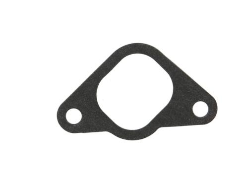Gasket, Intake Manifold 10