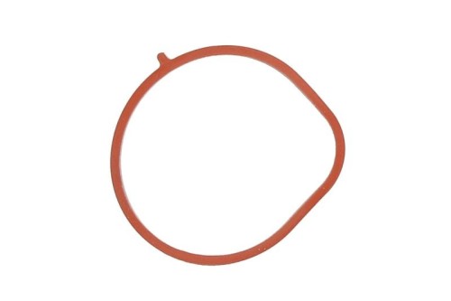 Gasket, Intake Manifold 1