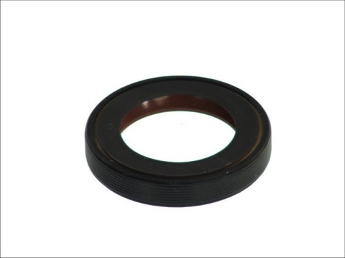 Shaft Seal, Differential 1