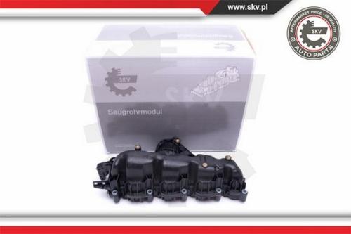 Intake Manifold Module