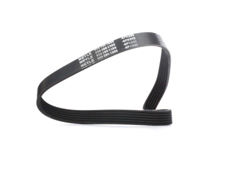 V-ribbed Belt 1