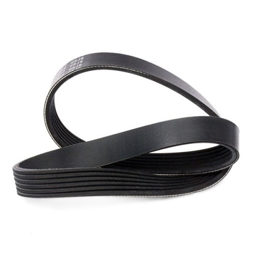 V-ribbed Belt 4