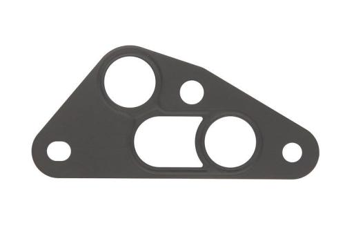 Gasket, Oil Cooler 10