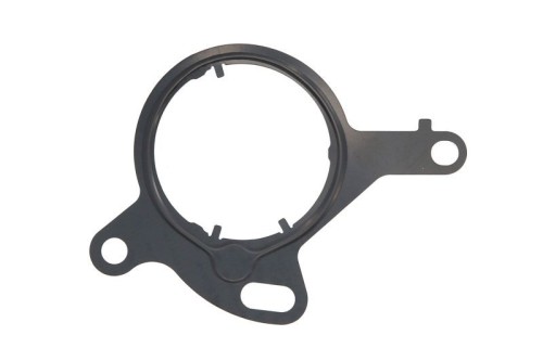 Gasket, Vacuum Pump 1