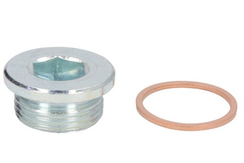 Screw Plug, Oil Sump 1