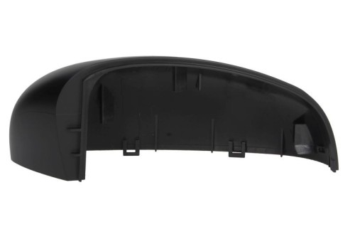 Side Mirror Cover 2