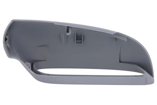 Side Mirror Cover 2