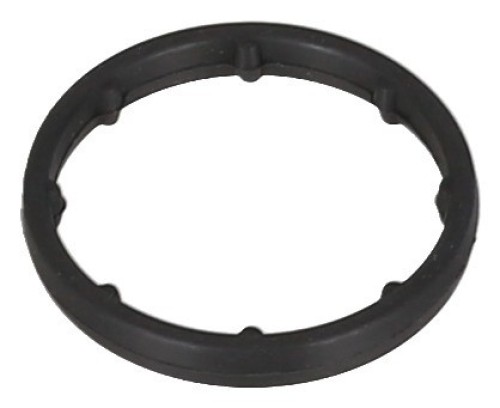 Gasket, Oil Cooler 2