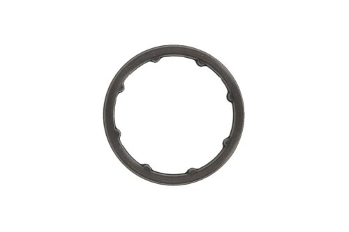 Gasket, Oil Cooler 1