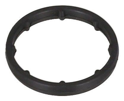 Gasket, Oil Cooler 7
