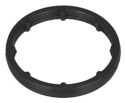 Gasket, Oil Cooler 6
