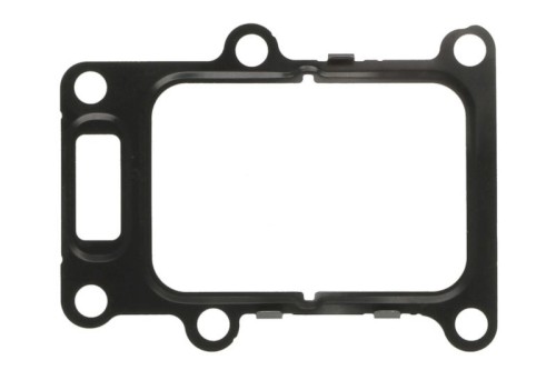 Gasket, Egr Valve