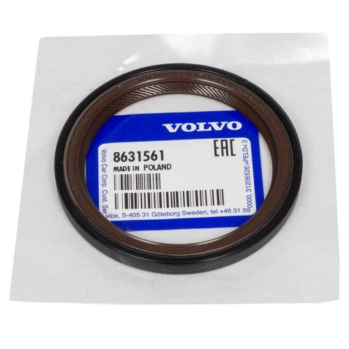 Oil Seal 1