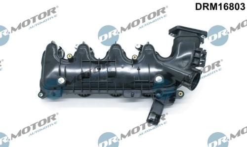 Intake Manifold Module
