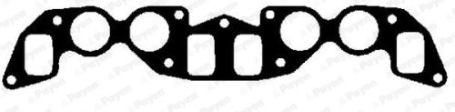 Gasket, Intake / Exhaust Manifold