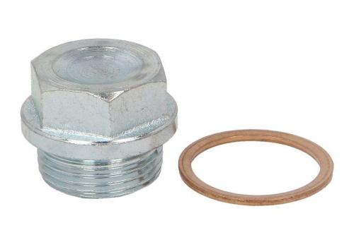Screw Plug, Oil Sump 4