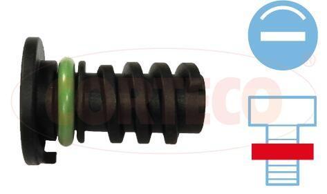 Oil Drain Plug, Oil Pan