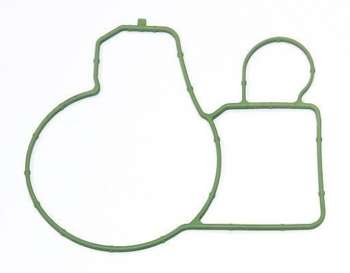 Water Pump Gasket 4