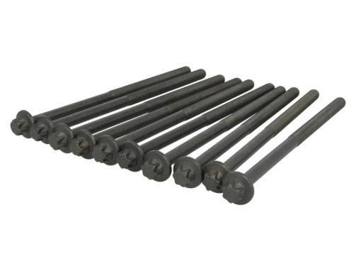 Cylinder Head Bolt Set 1