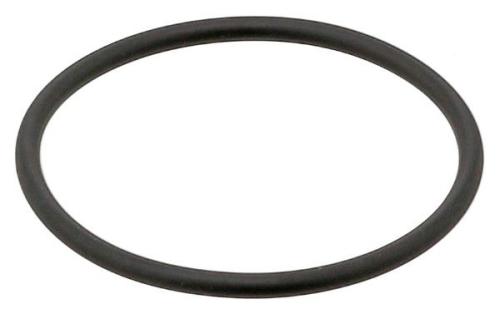Thermostat Gasket 5