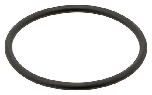 Thermostat Gasket 2