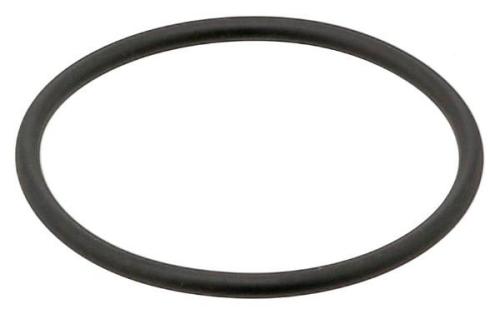 Thermostat Gasket 4